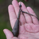 Helicopter leadcore leaders shown in hand, featuring a super-heavy leadcore setup for fishing.